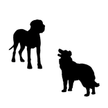 Dog Stickers for WhatsApp
