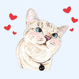 Стикеры WhatsApp с котиками