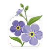 ForgetMeNot APK