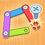”Screw Puzzle