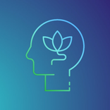 Meditation - Guided Meditation