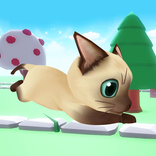 carrera de gatos