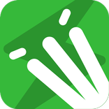 GULLY CRIX Cricket Scorer App