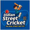 GWS Indian Street Cricket icon