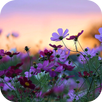 Flowers Live Wallpaper APK
