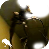 The Backrooms APK
