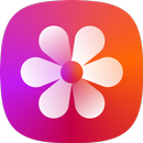 Gallery APK