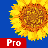 Gallery Pro Hide Photo Video