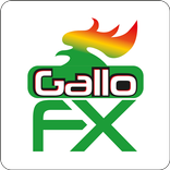 GalloFX - Efectos Especiales