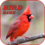 Flying bird