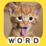 Pic Word Brain English Quiz
