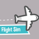 Flight Sim Airport, flight Avi aplikacja