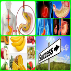 stomach acid, ulcer, GERD icon