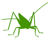 Orthoptera ALT