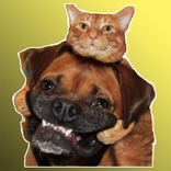 Figurinhas de Animais