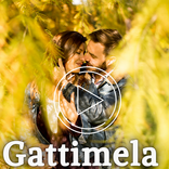 Gattimela Video Status Kannada