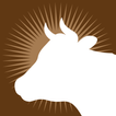 Gau Palak icon