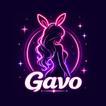 Gavo icon