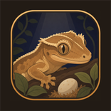 Gecko Breeder: Care & Decorate