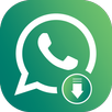 APK WhatSaver - Story Saver