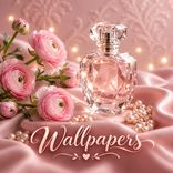 Blush Aesthetic Wallpapers