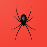 Spider Paint