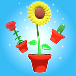 Plant Evolution
