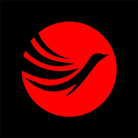 GFX