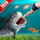 APK pazzo Squalo Avventura 2019