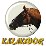 KAZAKDOR DEMO
