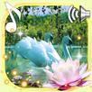 Swans and Lilies LWP APK