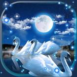 Swans Night