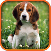 Animal Sounds for Kids APK