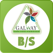 Galway ไอคอน
