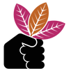 Gleano APK