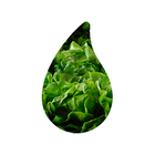 UltraTower icon