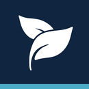 Spa Studio APK