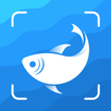Picture Fish - Fish Identifier APK