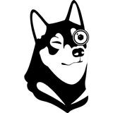 Watchdog - Surveillance Camera aplikacja