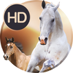 Animals wallpapers for phone آئیکن
