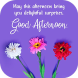 Good Afternoon Wishes