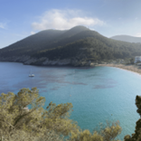 Ibiza.contact