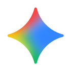 Google Gemini