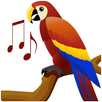 اصوات الطيور - Birds Sounds APK