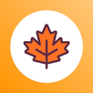 메이플DB - 캐릭터 정보 조회 APK