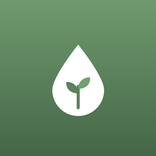Plant Care & Watering