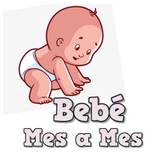 Bebé Mes a Mes