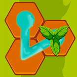 Water Link: Hex Puzzle