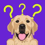 Dog Breed: Dogs games cute pet