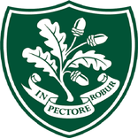 The Forest Network